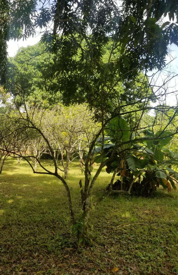 Galpon industrial con Terreno 10.000Mts2 propio