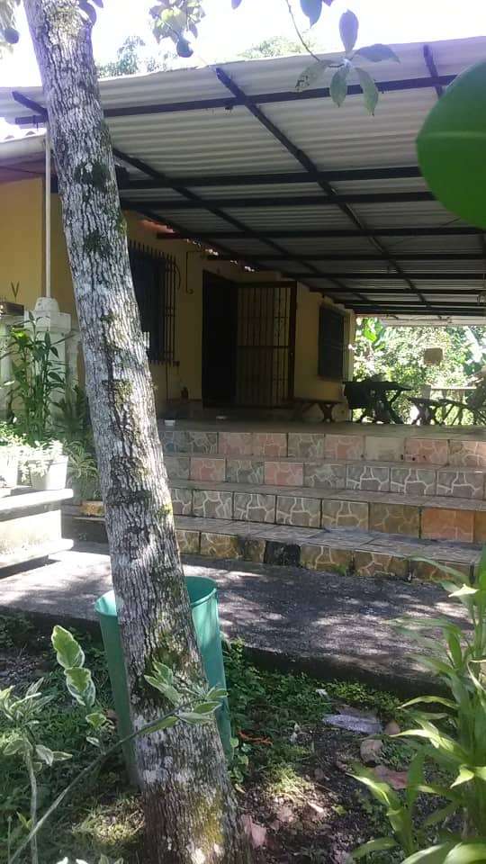 Galpon industrial con Terreno 10.000Mts2 propio