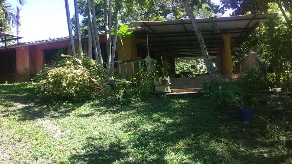 Galpon industrial con Terreno 10.000Mts2 propio