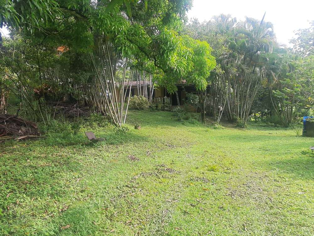 Galpon industrial con Terreno 10.000Mts2 propio