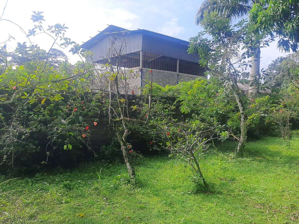 Galpon industrial con Terreno 10.000Mts2 propio
