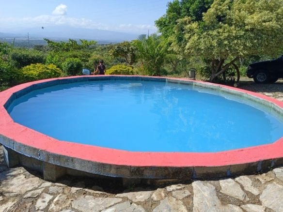 Finca agroturistica, Me voy del pais, negociando