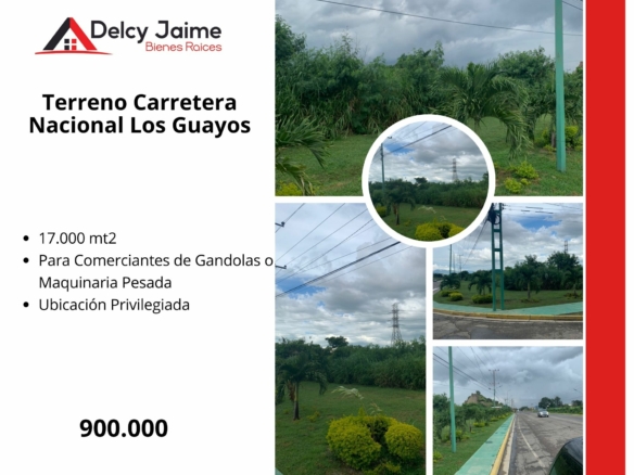 TERRENO CARRETERA NACIONAL LOS GUAYOS, CARABOBO.