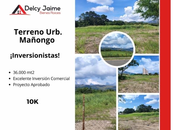 TERRENO COMERCIAL URB. MAÑONGO VALENCIA, VENEZUELA