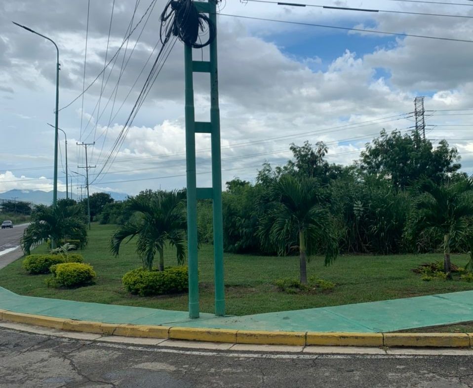 TERRENO CARRETERA NACIONAL LOS GUAYOS, CARABOBO.