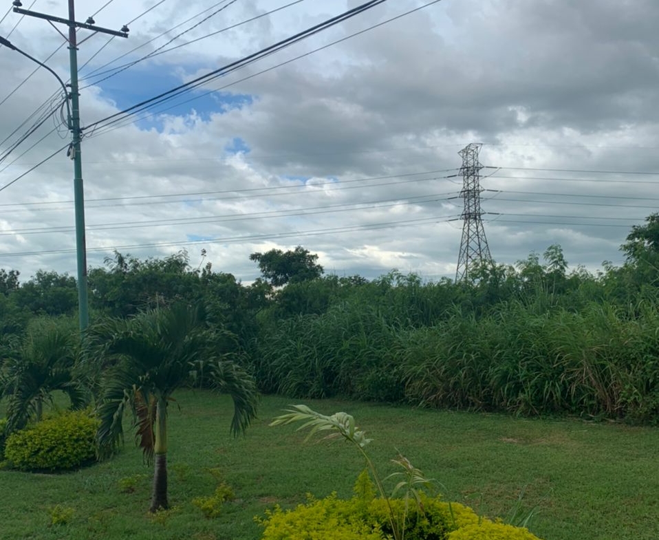 TERRENO CARRETERA NACIONAL LOS GUAYOS, CARABOBO.