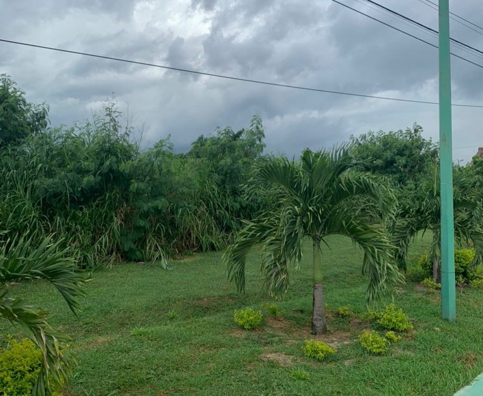 TERRENO CARRETERA NACIONAL LOS GUAYOS, CARABOBO.