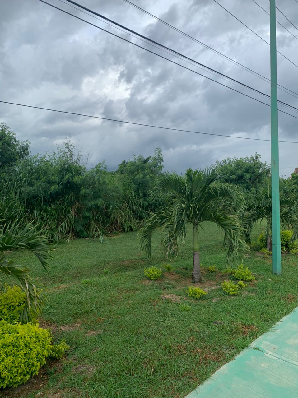 TERRENO CARRETERA NACIONAL LOS GUAYOS, CARABOBO.