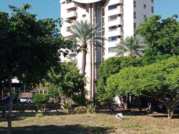 Local comercial CC JORGE COLL URB JORGE COLL