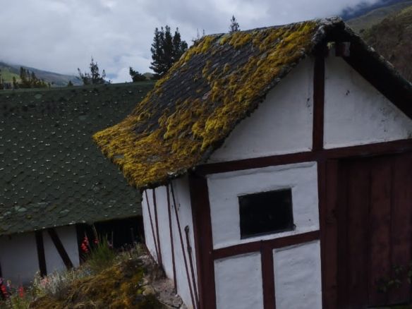 Lote de terreno
