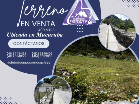 Terreno