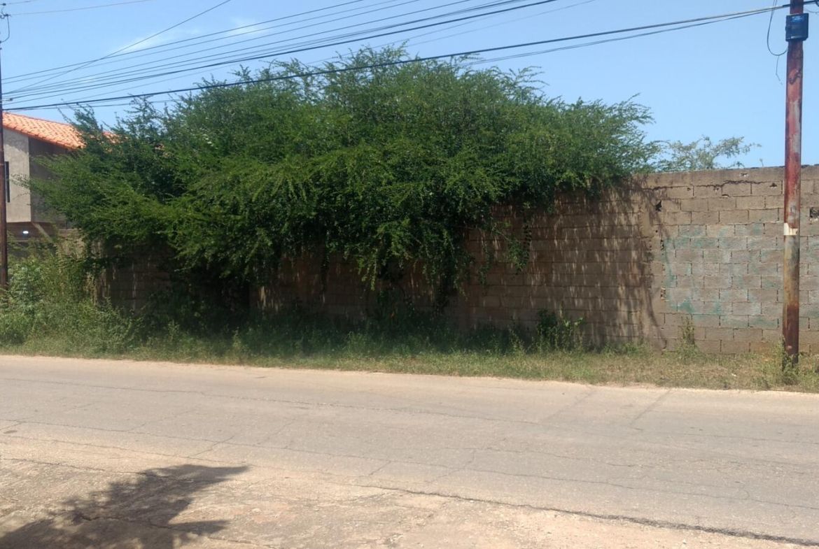 Parcelas de terreno, Playa Guacuco, Isla de Margarita