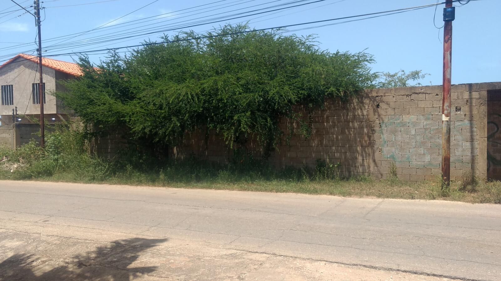 Parcelas de terreno, Playa Guacuco, Isla de Margarita