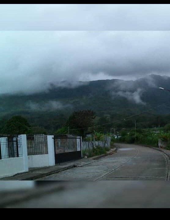 1000210705 Casa en venta en Sabana de Piedra, municipio caripe, estado Monagas, excelente clima de montaña, zona cafetalera y de agricultura.