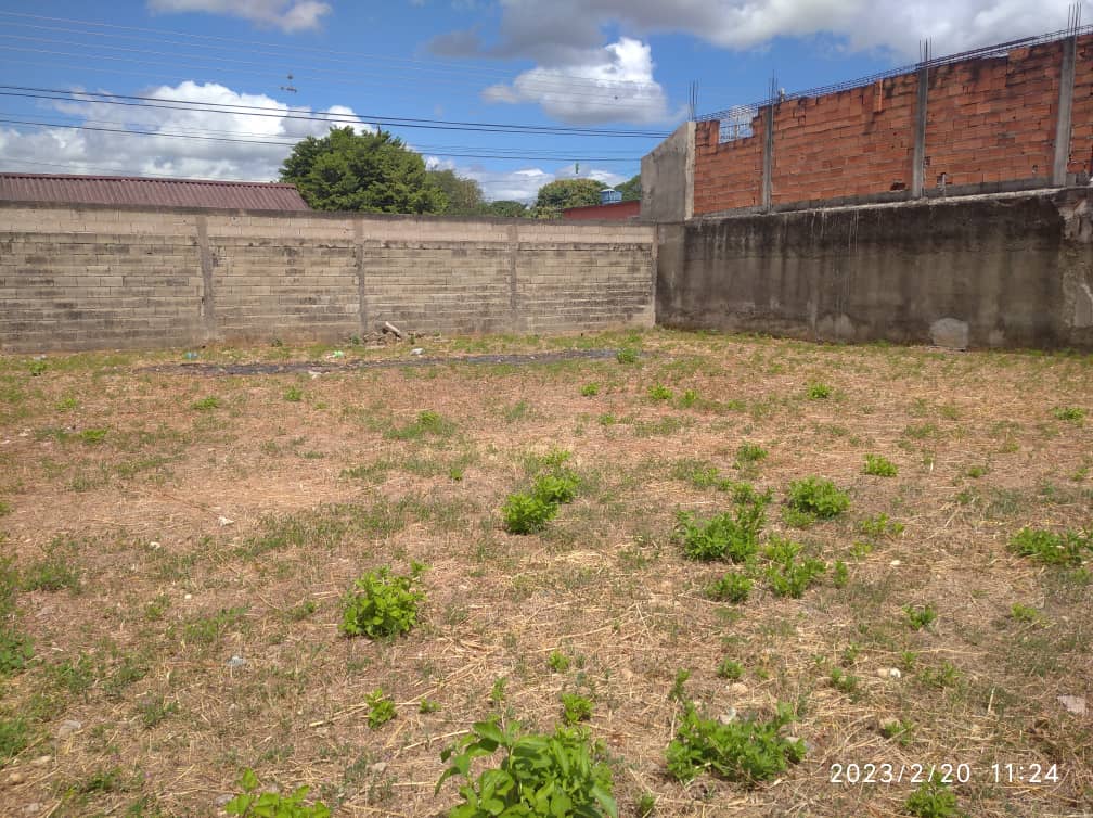 En venta Terreno en el centro de Tinaquillo