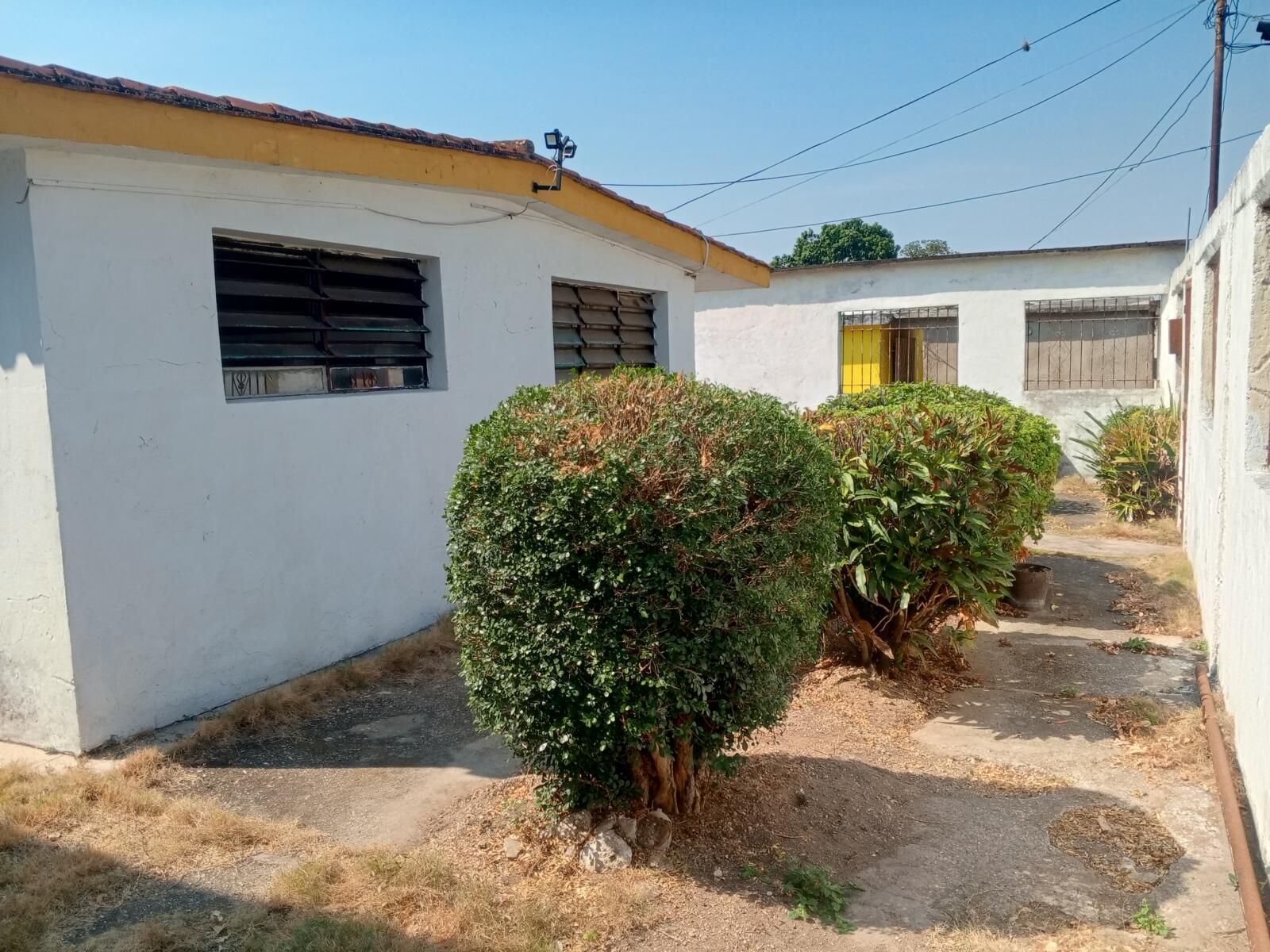 IMG_20260325_100045_896 En venta casa centro de Tinaquillo Cojedes