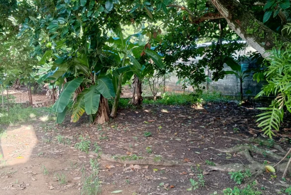 CASA EN VENTA CAÑO CLARO TINAQUILLO