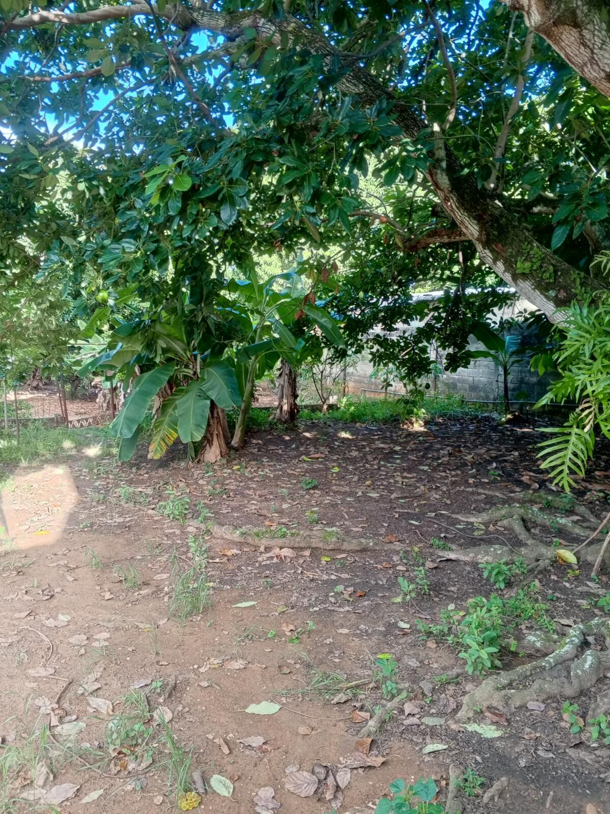 CASA EN VENTA CAÑO CLARO TINAQUILLO